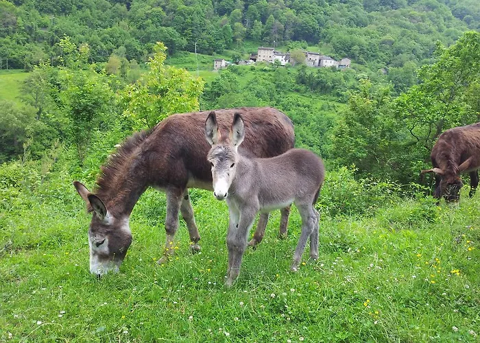 Ca Sonino Bettola (Emilia-Romagna)
