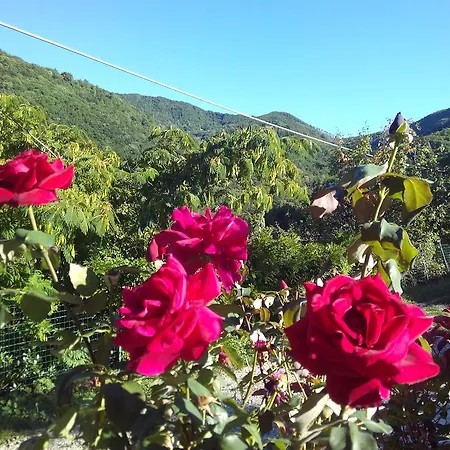 Cà Sonino Bettola (Emilia-Romagna)