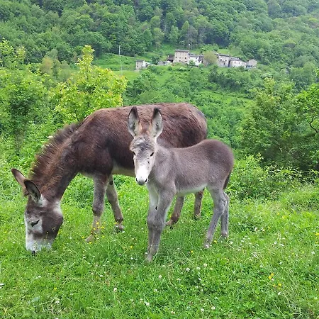 Cà Sonino Bettola (Emilia-Romagna)