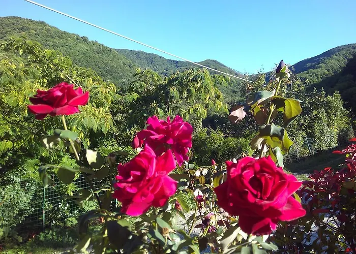 Ca Sonino Bettola (Emilia-Romagna)